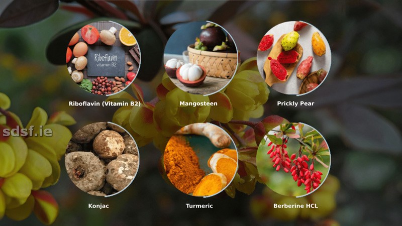 Key Ingredients In Ignitra