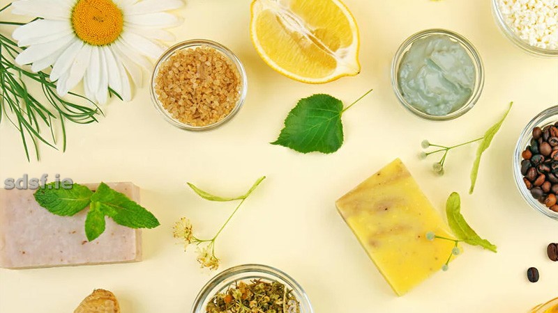 Neuro-Thrive Ingredients Breakdown