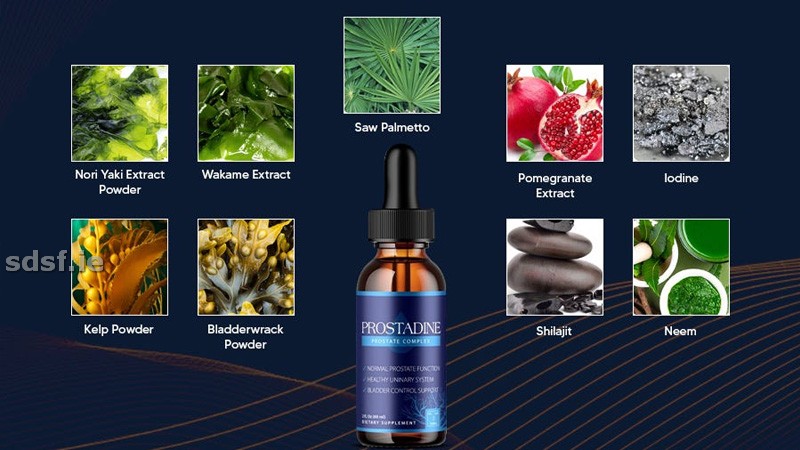 Prostadine is a plant-based liquid blend for prostate and urinary support